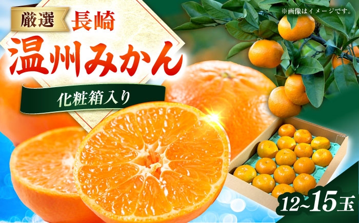 柑橘 果物 フルーツ みかん ミカン 温州みかん うんしゅうみかん 産地直送 長崎県産 長与町産 九州 新鮮