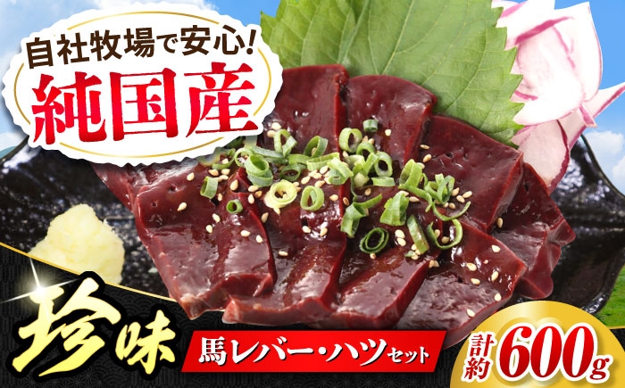 純国産 熊本馬刺し 馬 珍味 セット 計約600g レバー馬刺し ハツ馬刺し