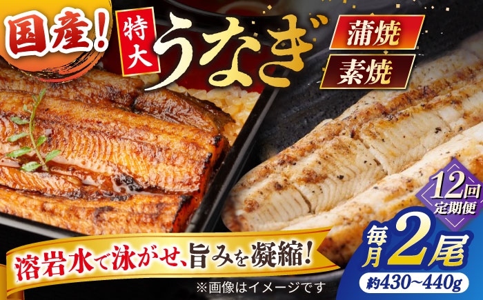 国産 うなぎ ウナギ 鰻 特大 蒲焼き 蒲焼 国産 冷蔵 うな重 定期便 
