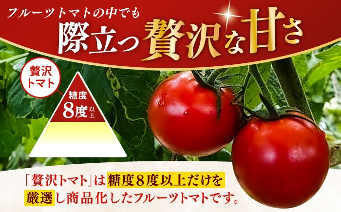 【先行予約】高知県高知市産 贅沢フルーツトマト 約2kg 〈2025年2月～発送〉【片山農園】 [ATCI001]