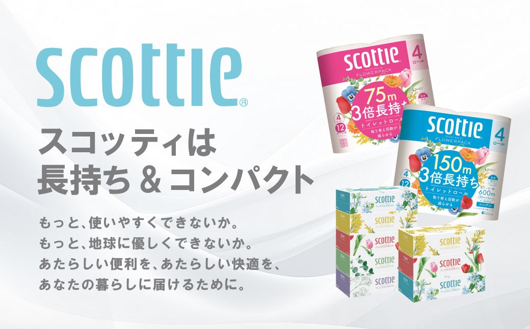 【定期便6回】【毎月お届け】【スコッティ】ティシュー フラワーボックス＋フラワーパック 3倍長持ち（シングル）