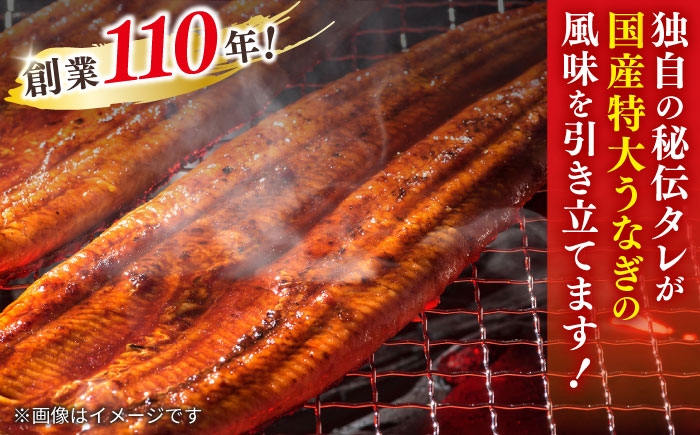 国産 うなぎ ウナギ 鰻 特大 蒲焼き 蒲焼 国産 冷蔵 うな重 定期便 