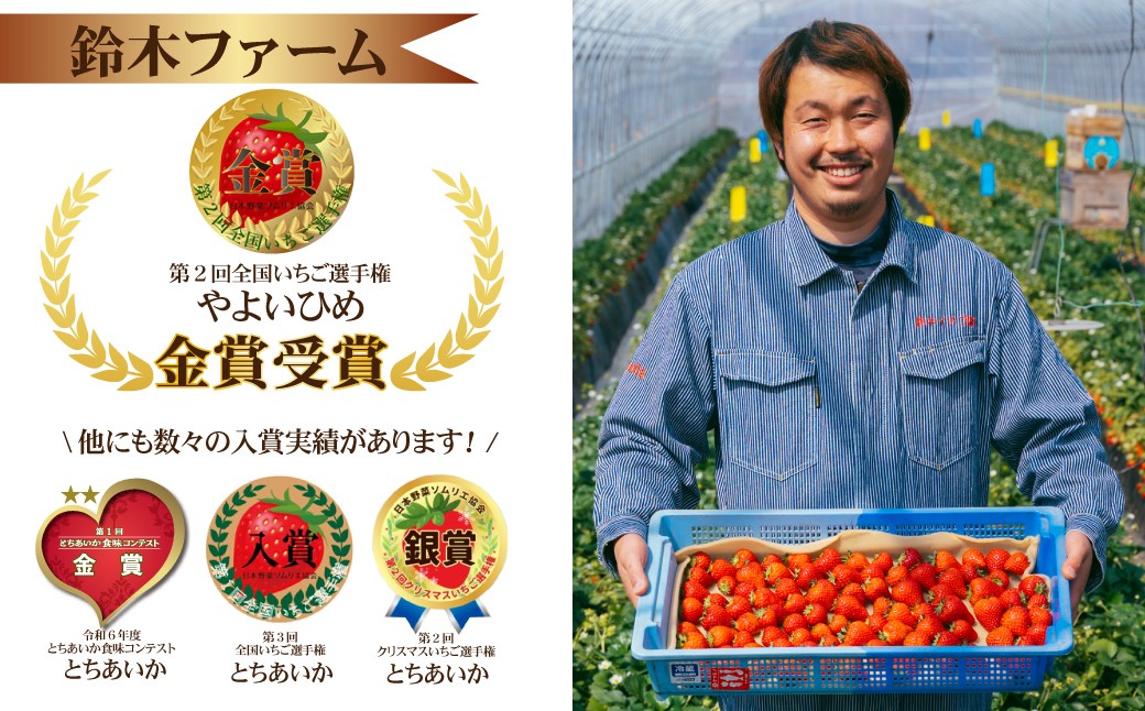 いちご イチゴ 苺 とちおとめ 第2回いちご選手権金賞 ブランドいちご ストロベリー 完熟 甘い あまい 果物