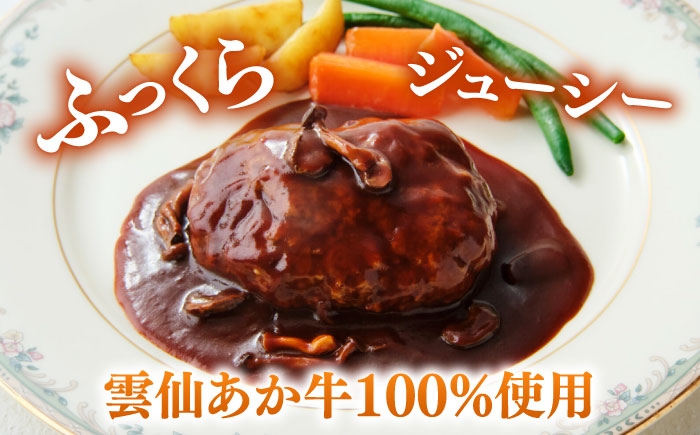 ハンバーグ はんばーぐ 牛 牛肉 冷凍 赤牛 和牛 あかうし 赤牛 あか牛 牛肉