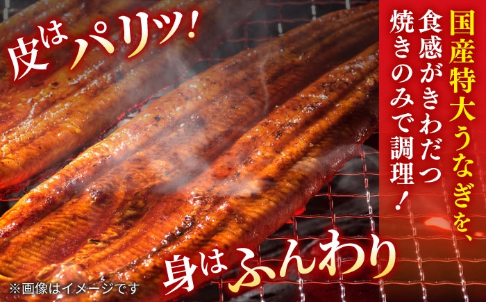 国産 うなぎ ウナギ 鰻 特大 蒲焼き 蒲焼 国産 冷蔵 うな重 定期便 