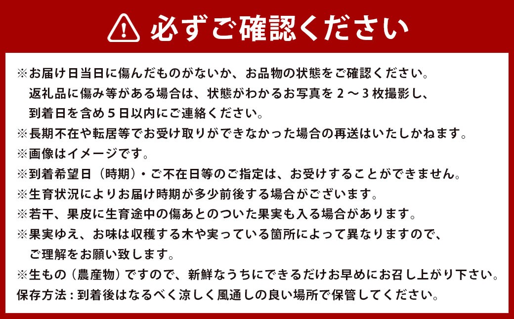 アールスメロン2玉入り 化粧箱入り【2026年12月上旬発送開始】