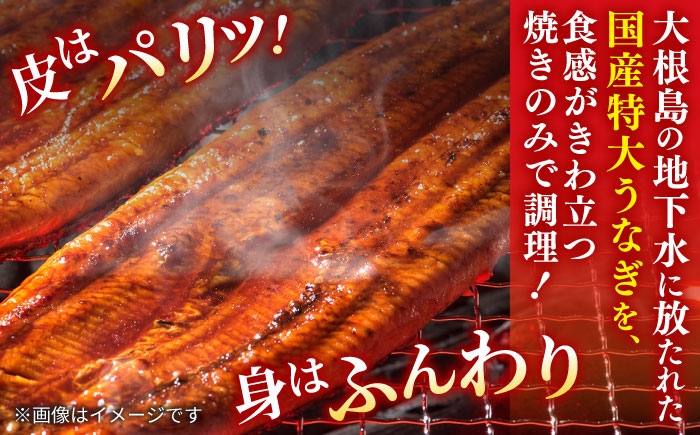 国産 うなぎ ウナギ 鰻 特大 蒲焼き 蒲焼 国産 冷蔵 うな重 定期便 