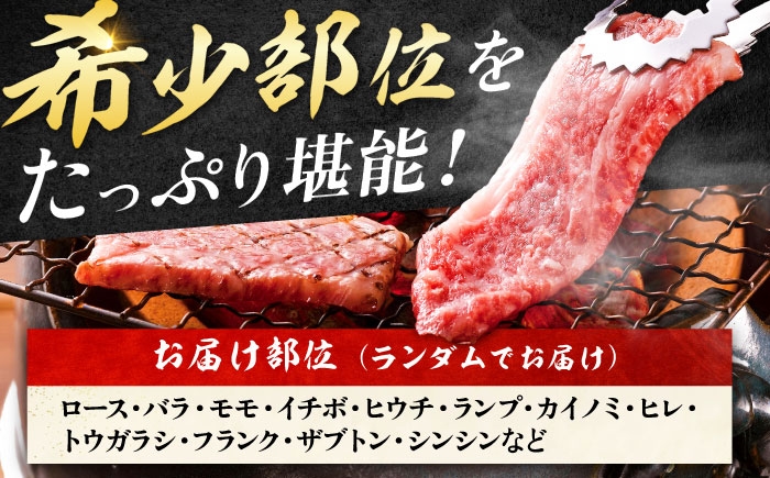 艶さし！【A4～A5】希少部位!佐賀牛おまかせ焼肉6種盛りセット| 焼肉 やきにく 焼肉セット 佐賀県産 黒毛和牛 |