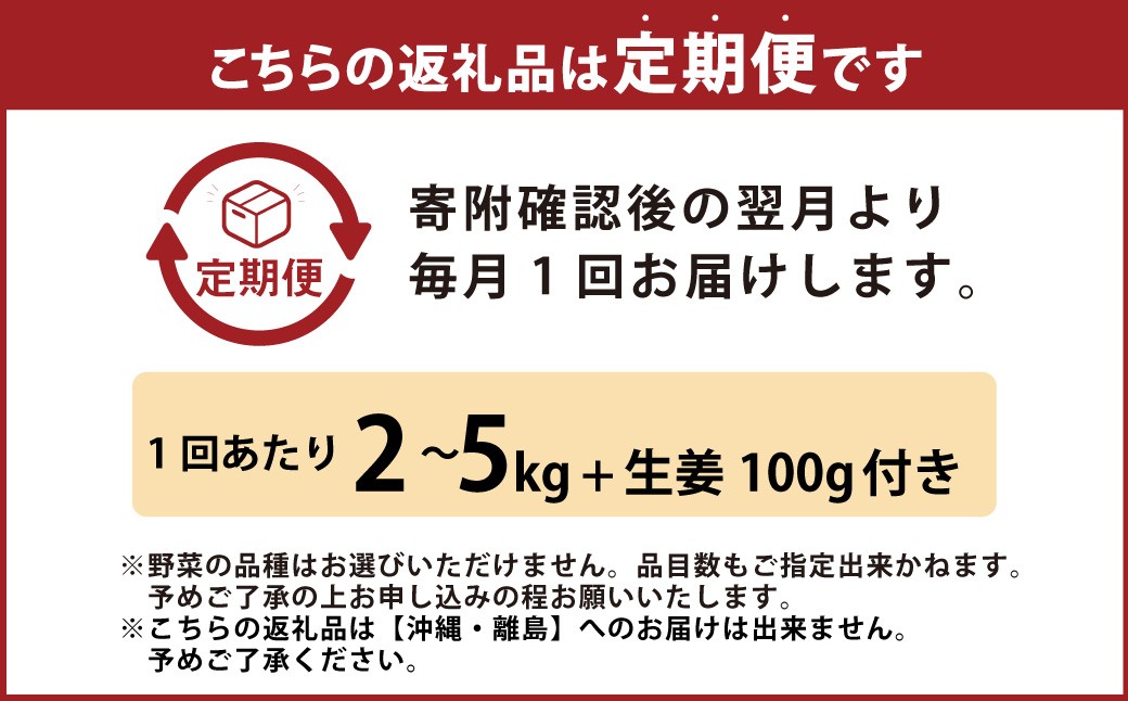 【定期便12回】旬の野菜の詰め合わせと栽培期間中農薬不使用の生姜100g付き