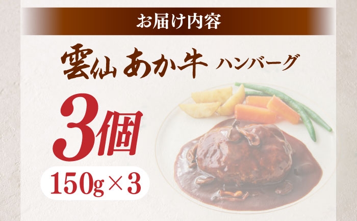 ハンバーグ はんばーぐ 牛 牛肉 冷凍 赤牛 和牛 あかうし 赤牛 あか牛 牛肉