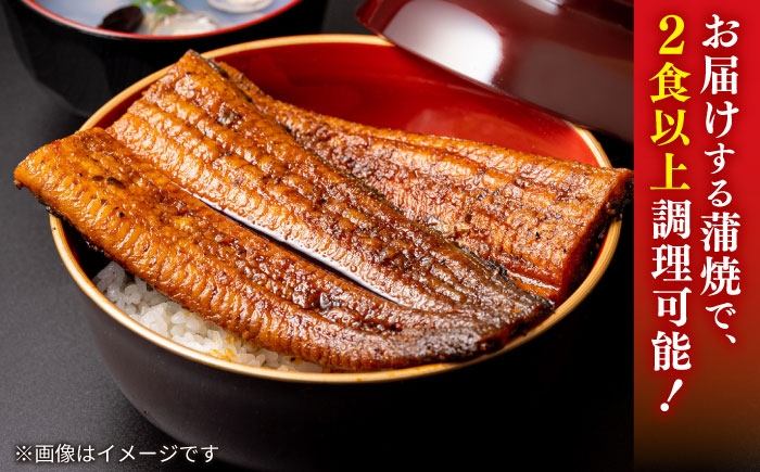 国産 うなぎ ウナギ 鰻 特大 蒲焼き 蒲焼 国産 冷蔵 うな重 定期便 