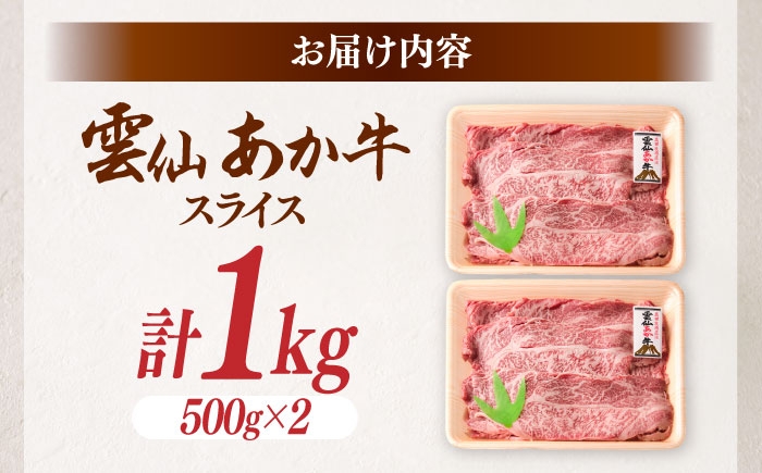 長崎和牛 牛 牛肉 冷凍 赤牛 和牛 あかうし 赤牛 あか牛 牛肉