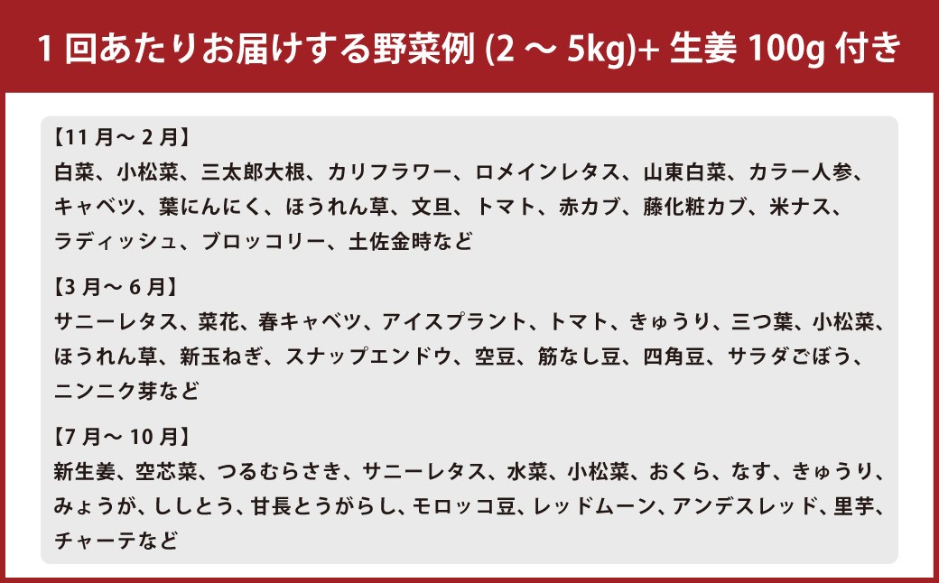 【定期便6回】旬の野菜の詰め合わせと栽培期間中農薬不使用の生姜100g付き