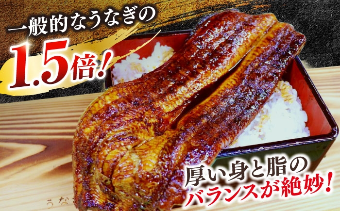 国産 うなぎ ウナギ 鰻 特大 蒲焼き 蒲焼 国産 冷蔵 うな重 定期便 