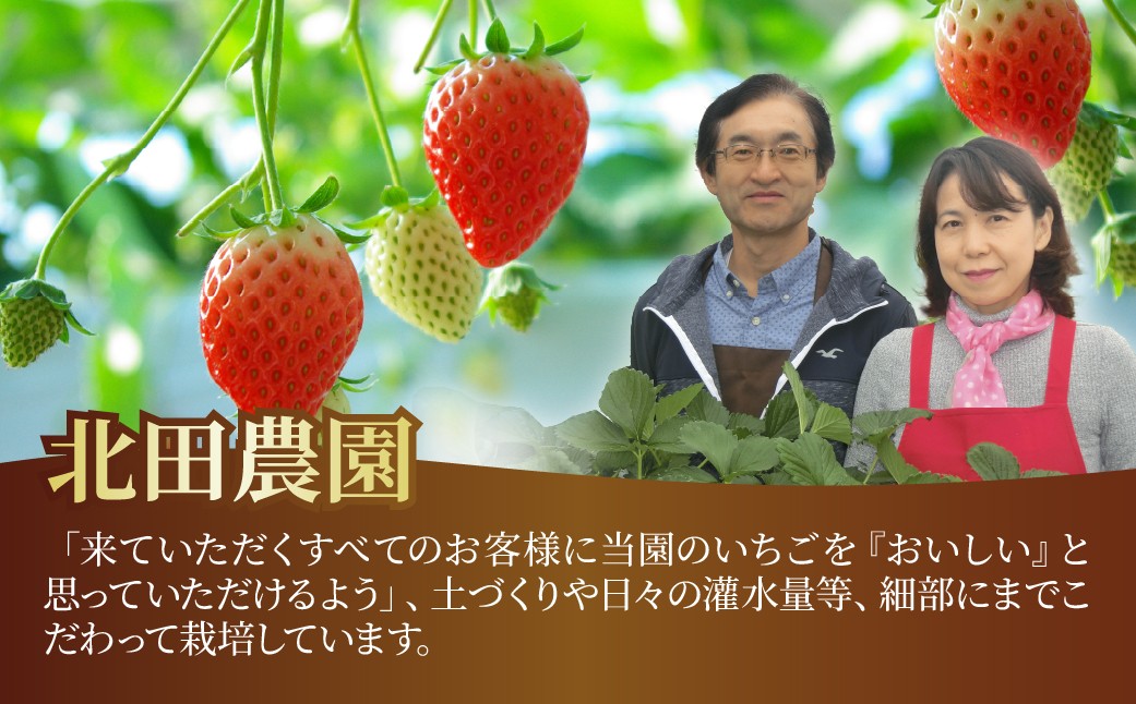 いちご あまりん 1箱 贈答用 食べチョクいちごグランプリ2025金賞受賞 | あまりん いちご イチゴ 苺 ストロベリー