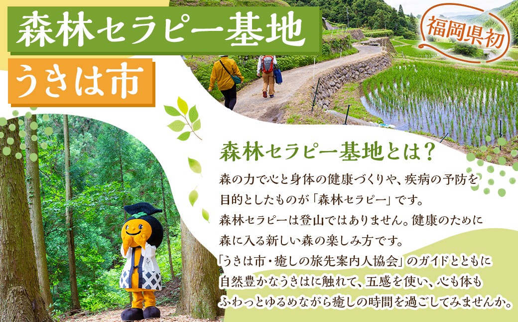 【参加型体験】うきは市森林セラピー （アロマスプレーづくり付き） 2名様