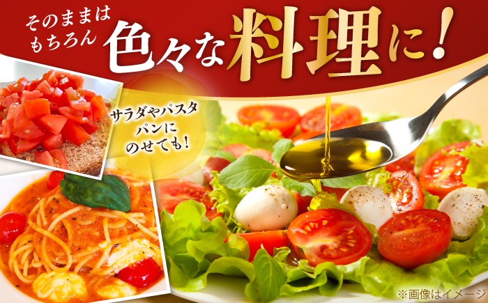 【先行予約】高知県高知市産 贅沢フルーツトマト 約2kg 〈2025年2月～発送〉【片山農園】 [ATCI001]