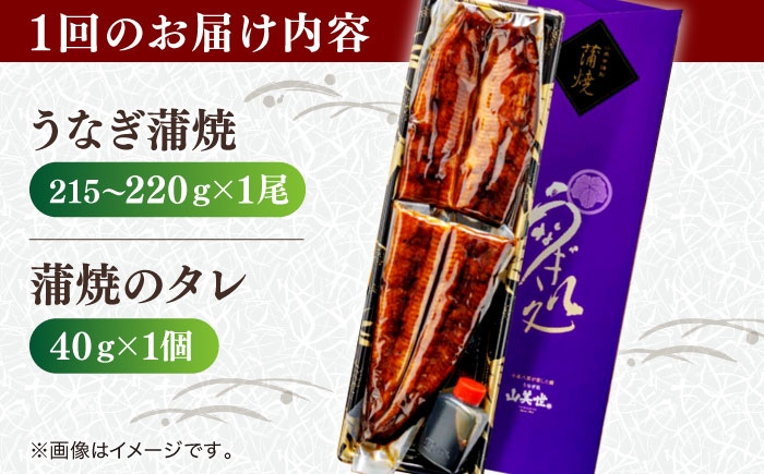 国産 うなぎ ウナギ 鰻 特大 蒲焼き 蒲焼 国産 冷蔵 うな重 定期便 