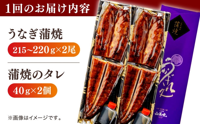 国産 うなぎ ウナギ 鰻 特大 蒲焼き 蒲焼 国産 冷蔵 うな重 定期便 