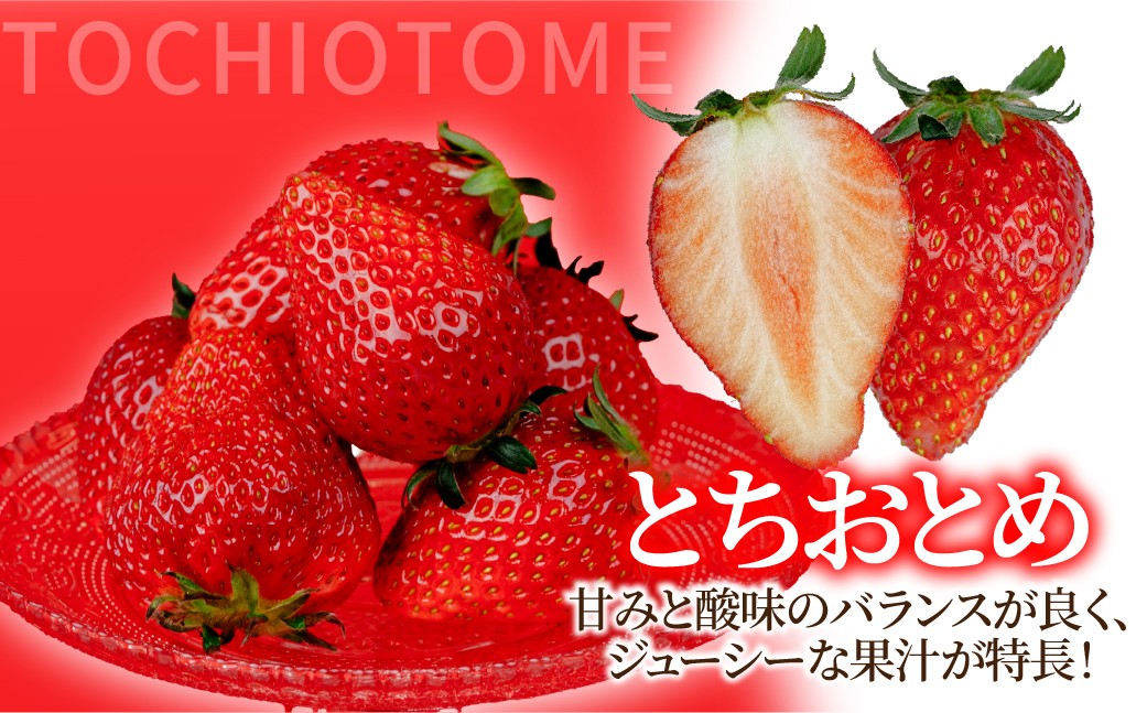 いちご イチゴ 苺 とちおとめ 第2回いちご選手権金賞 ブランドいちご ストロベリー 完熟 甘い あまい 果物