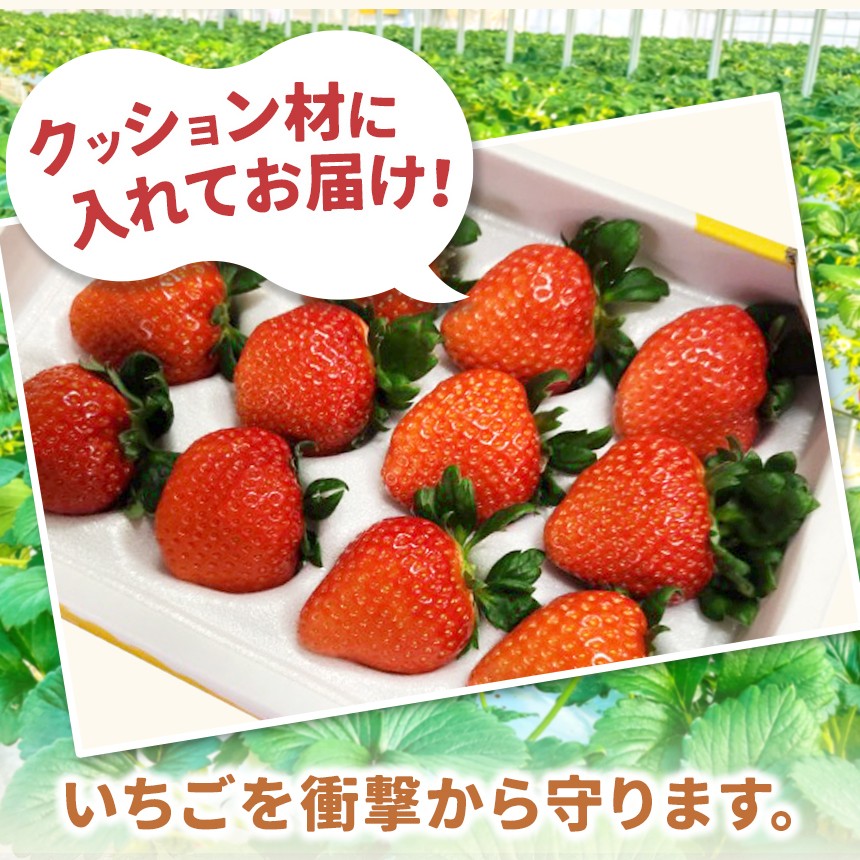 土にこだわり、栽培しています