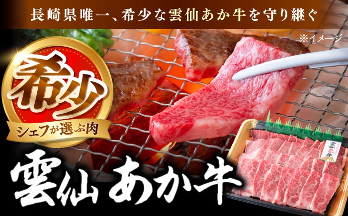 国産 長崎和牛 牛 牛肉 冷凍 赤牛 和牛 あかうし 赤牛 あか牛 牛肉