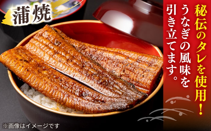 国産 うなぎ ウナギ 鰻 特大 蒲焼き 蒲焼 国産 冷蔵 うな重 定期便 