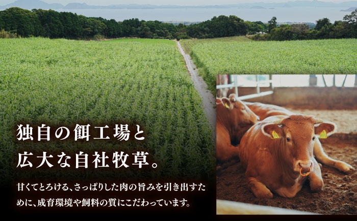 ローストビーフ ろーすとびーふ 牛 牛肉 冷凍 赤牛 和牛 あかうし 赤牛 あか牛 牛肉