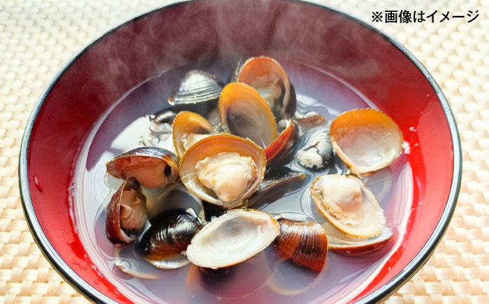 しじみ シジミ 蜆 しじみ汁 味噌汁 みそ汁 宍道湖 しんじ湖 宍道湖名産 砂抜き 砂出し