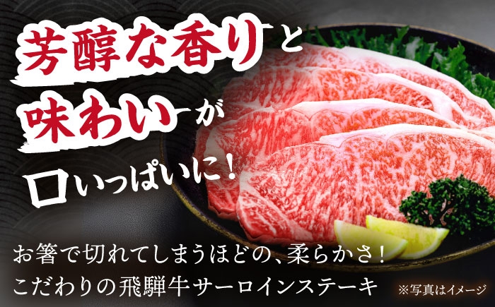 サーロイン ステーキ 牛 肉 国産 黒毛 和牛 霜降り 飛騨牛 キャンプ ギフト
