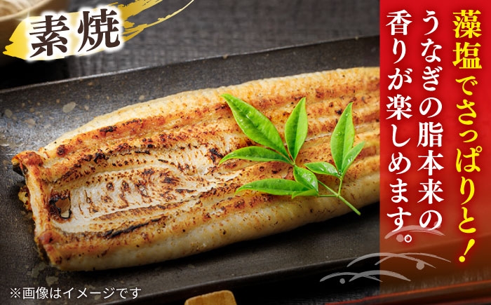 国産 うなぎ ウナギ 鰻 特大 蒲焼き 蒲焼 国産 冷蔵 うな重 定期便 