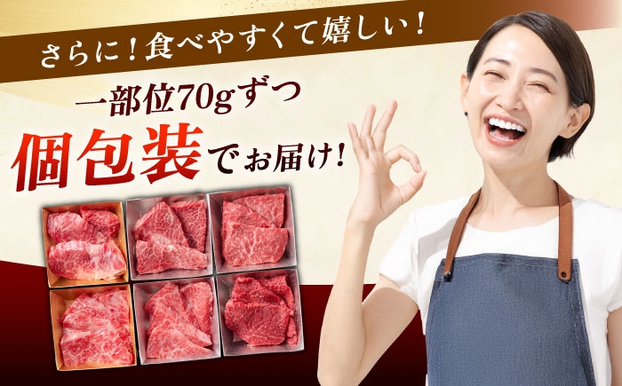 艶さし！【A4～A5】希少部位!佐賀牛おまかせ焼肉6種盛りセット| 焼肉 やきにく 焼肉セット 佐賀県産 黒毛和牛 |
