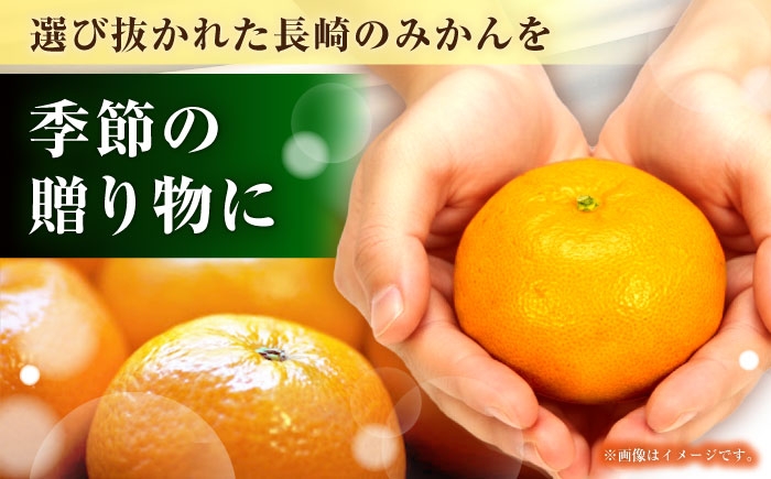 柑橘 果物 フルーツ みかん ミカン 温州みかん うんしゅうみかん 産地直送 長崎県産 長与町産 九州 新鮮