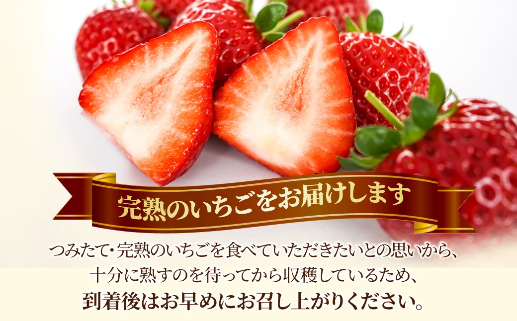 いちご食べ比べセット 230g×4パック 食べチョクいちごグランプリ2025金賞受賞 | あまりん アマリン いちご イチゴ 苺