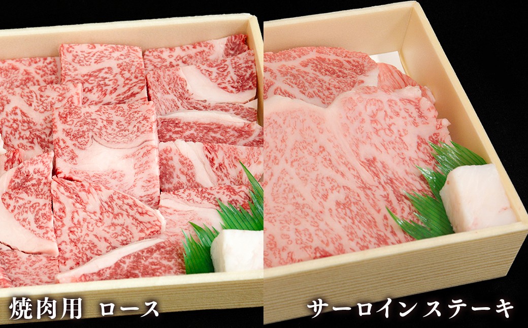【6回定期便】牛肉 兵庫県産 黒毛和牛 6種 食べ比べ B