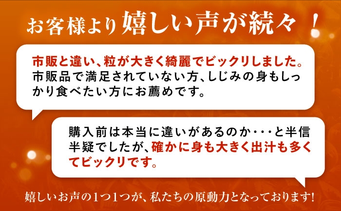 しじみ シジミ 蜆 しじみ汁 味噌汁 みそ汁 宍道湖 しんじ湖 砂抜き 砂出し 魚介類 貝 魚貝類 健康 冷凍 おすすめ