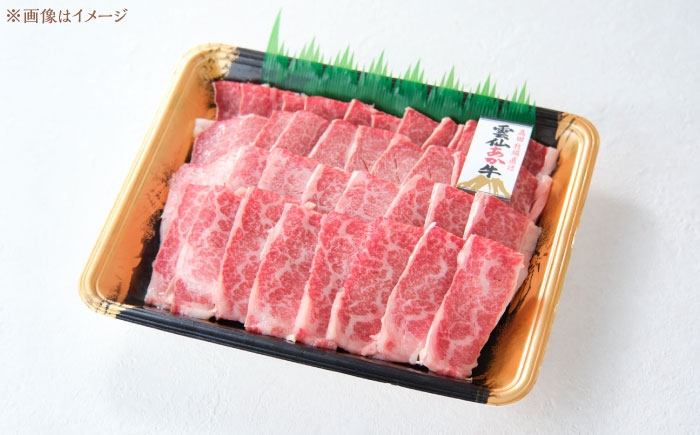 国産 長崎和牛 牛 牛肉 冷凍 赤牛 和牛 あかうし 赤牛 あか牛 牛肉