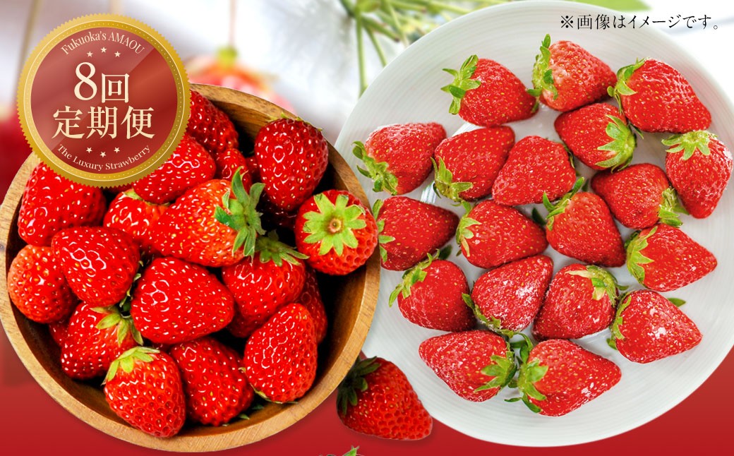 【8回定期便】【いちごの定期便】福岡県産あまおう（フレッシュあまおう・冷凍あまおう）