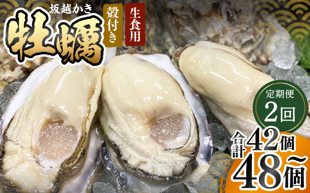 【2回定期便】牡蠣 生食用 坂越かき 殻付き 42～48個