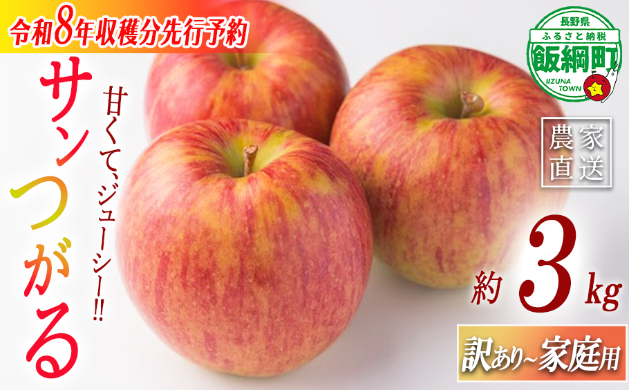 りんご農家応援企画！農家直送！サンつがる 家庭用・訳あり 3kg