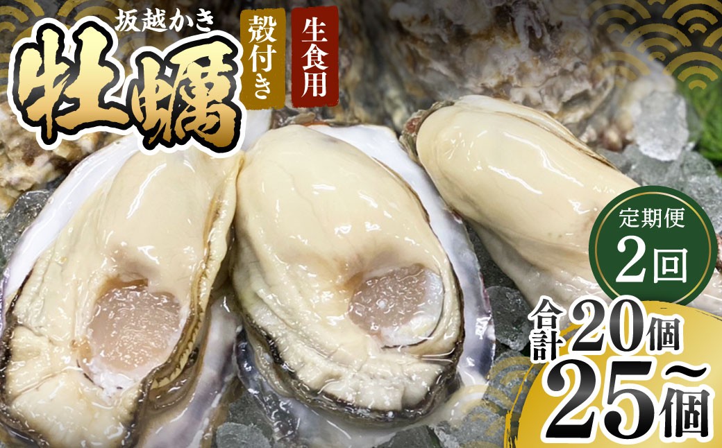 【2回定期便】牡蠣 生食用 坂越かき 殻付き 20～25個