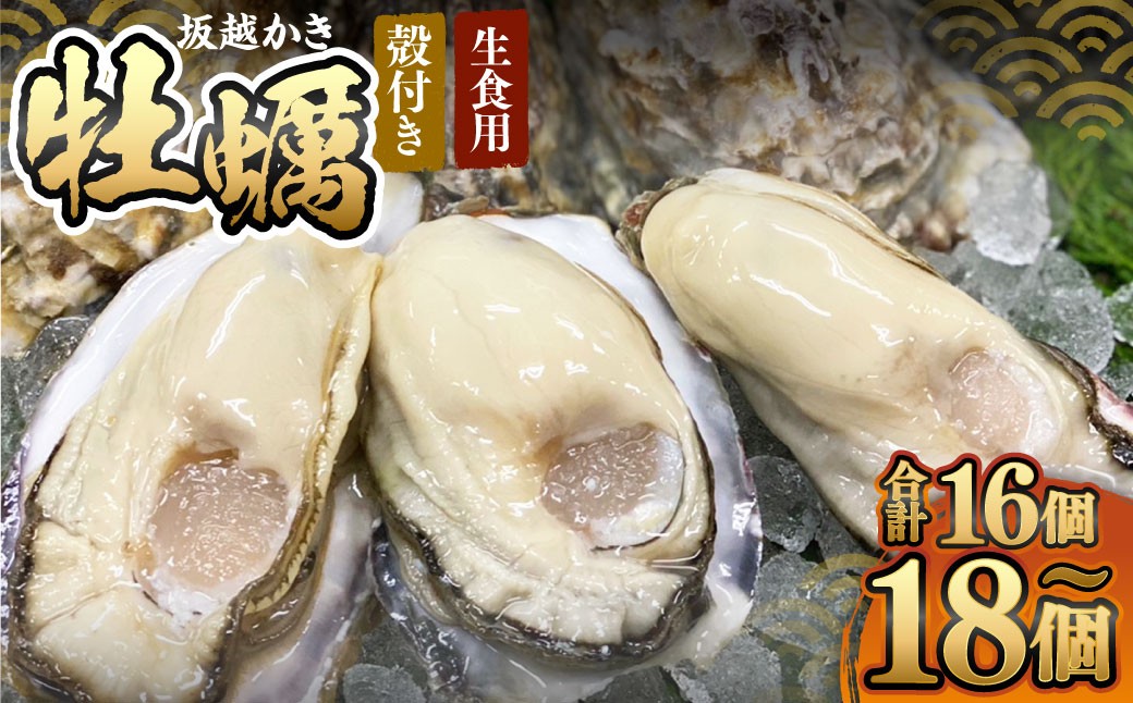 牡蠣 生食用 坂越かき 殻付き 16～18個