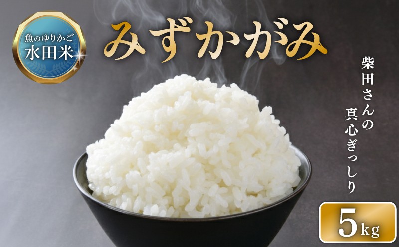 ※画像はイメージです。