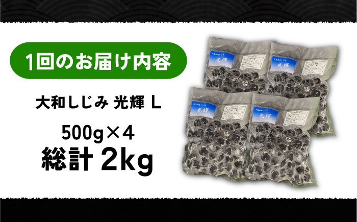 しじみ シジミ 蜆 しじみ汁 味噌汁 みそ汁 宍道湖 しんじ湖 砂抜き 砂出し 魚介類 貝 魚貝類 健康 冷凍 おすすめ
