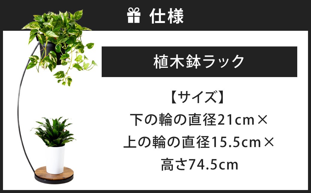 宙 （そら）に咲く植木鉢ラック 艶消しブラック×ラスティックパイン