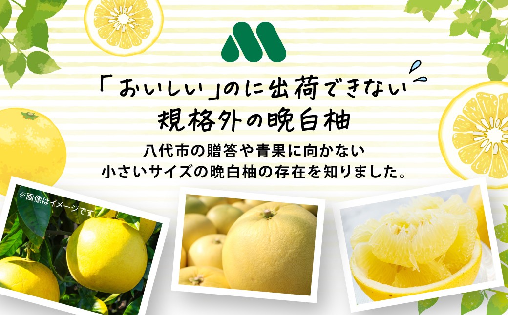 「おいしい」のに出荷できない、規格外の晩白柚