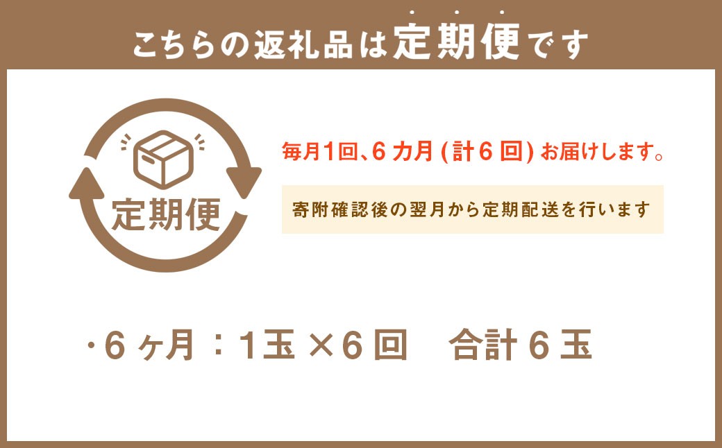 【6ヶ月定期便】訳あり 静岡県産 アローマメロン 1玉 約6.0kg以上 化粧箱入