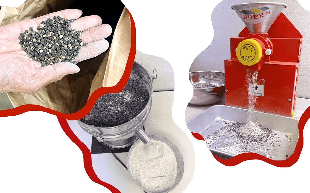 泉州蕎麦 阪南地産 十割蕎麦（春のいぶき） つゆ付き2人前（100g×2袋）【2025年12月31日着】