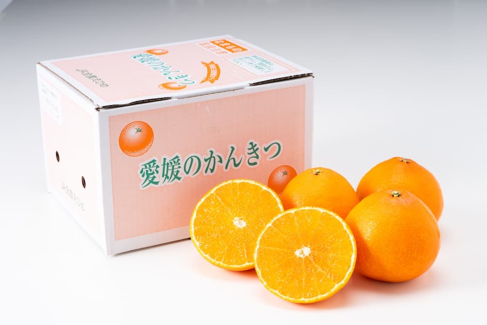 愛媛が誇るブランドみかん「紅まどんな」