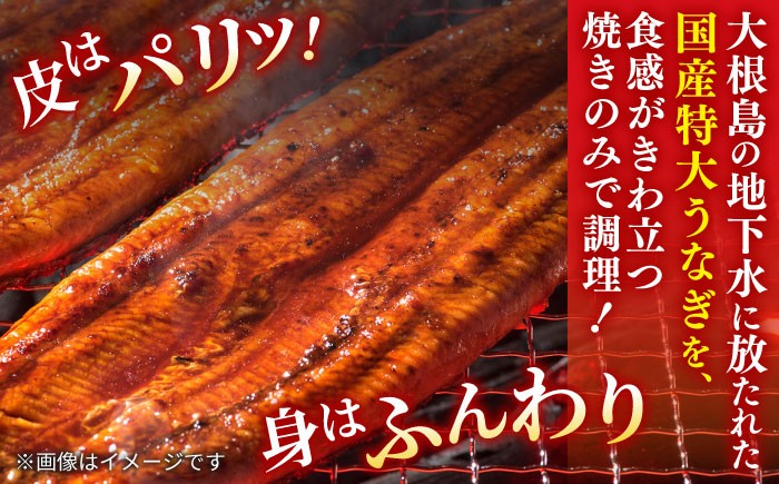 国産 うなぎ ウナギ 鰻 特大 蒲焼き 蒲焼 国産 冷蔵 うな重 定期便 